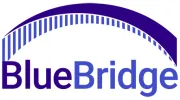 BlueBridge Networks